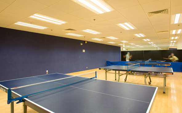 Table Tennis playing area